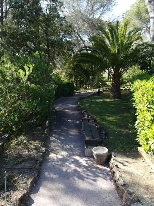 Charmant Studio Valescure Saint Raphael Luaran gambar